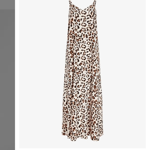 Express Leopard Print V-Neck Maxi Dress Size Small - Picture 4 of 7